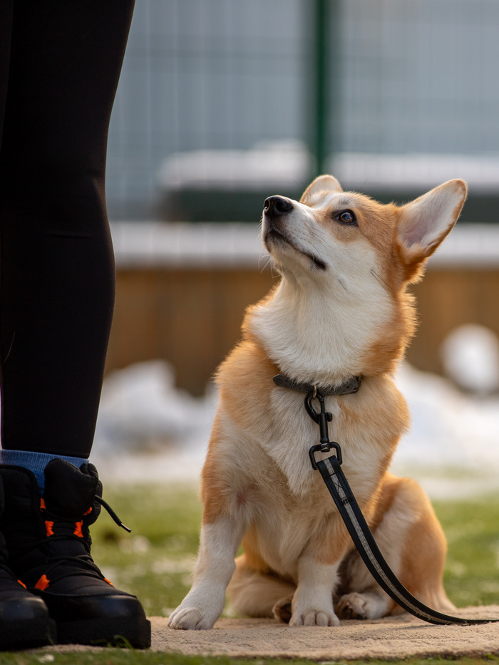 ����� �� �����, �� ������ � ����������, �������� � �������� ���������