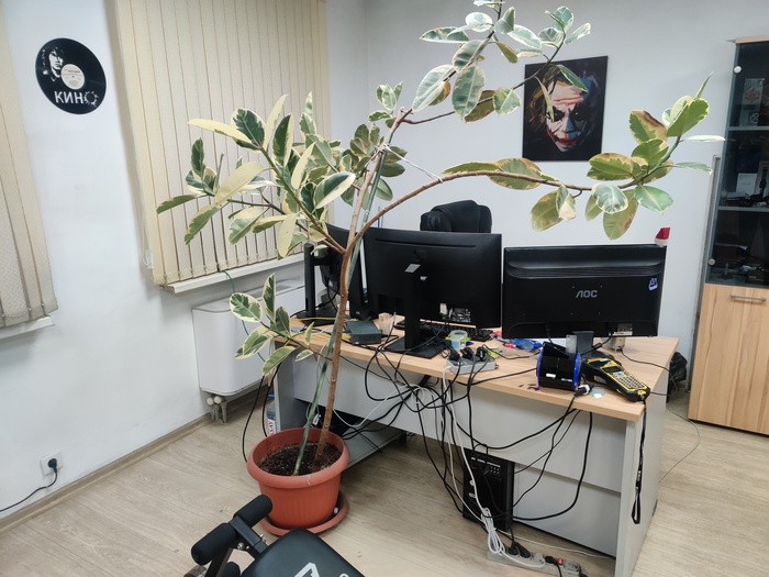 ����� �� ���� ���������� �����������������. � ��� �������� ���� ������� �����, �������?�