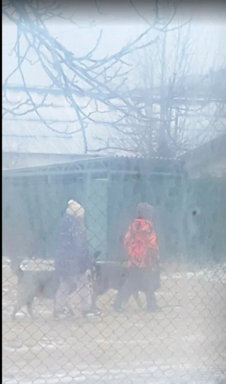 ������� ���� ������