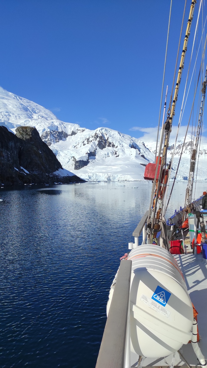 �������� ����� �������