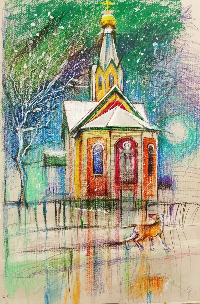 �����������