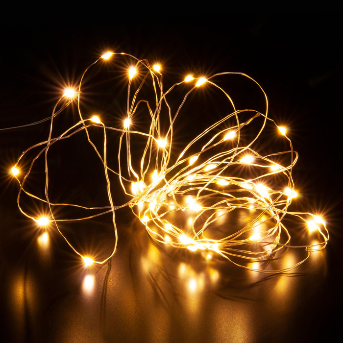 ���� ����