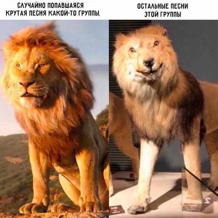 Одна песня