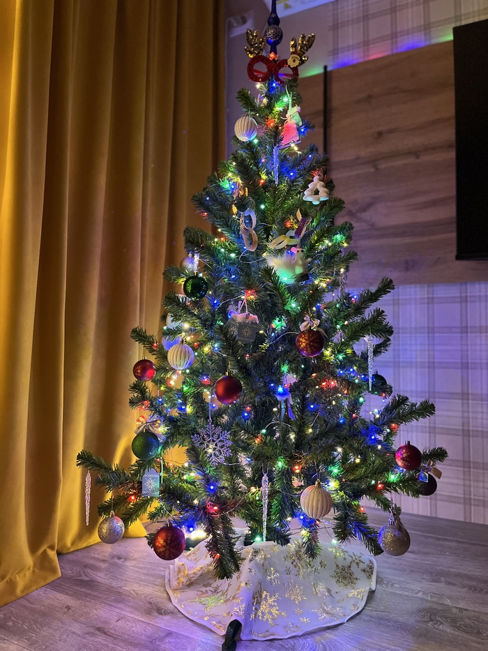 ������ ���� ���