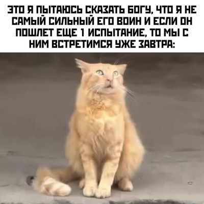 �� �����