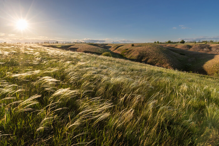 �� �������� ������