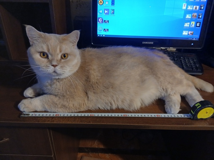 �� � ���� ���, � � ���� ����!