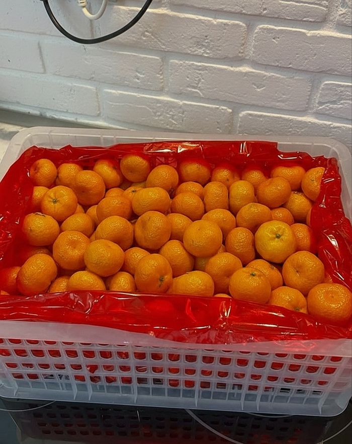 ��� ���������, ������� � ������� ������� ��������� ��������