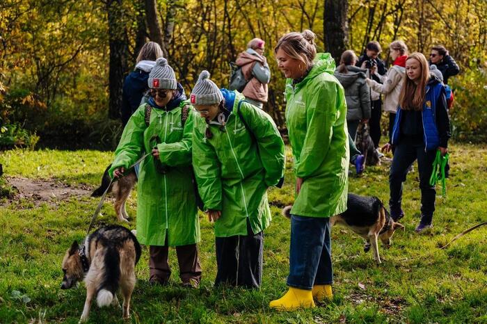 ���������� ���� ����� ���� �������������� ��������� �������� � ������ ��������