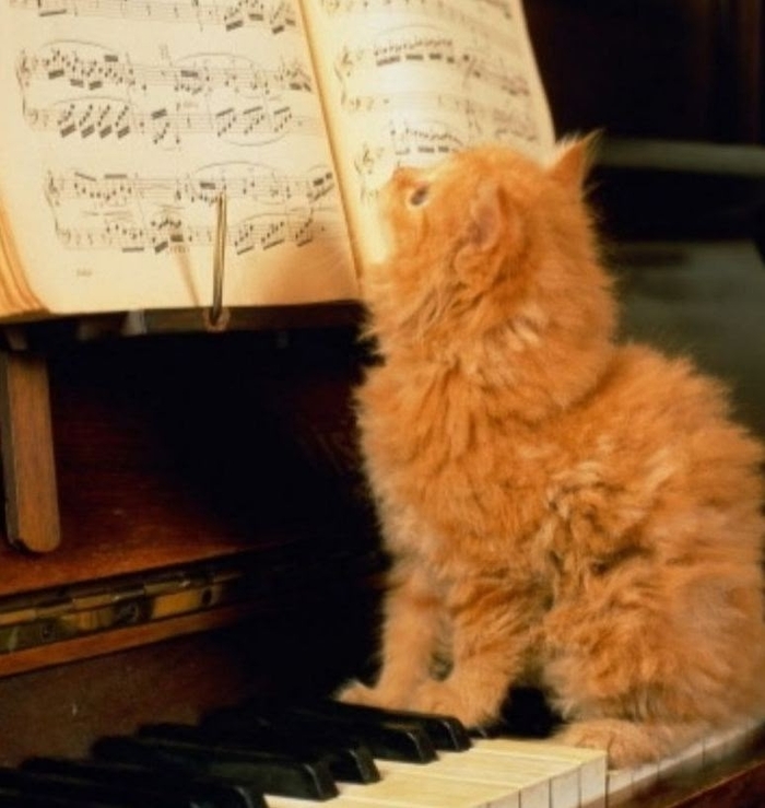 �������� ������