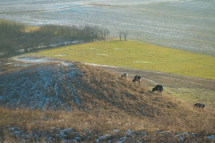 ���� � ���� �������.