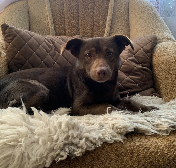 ���������� ������