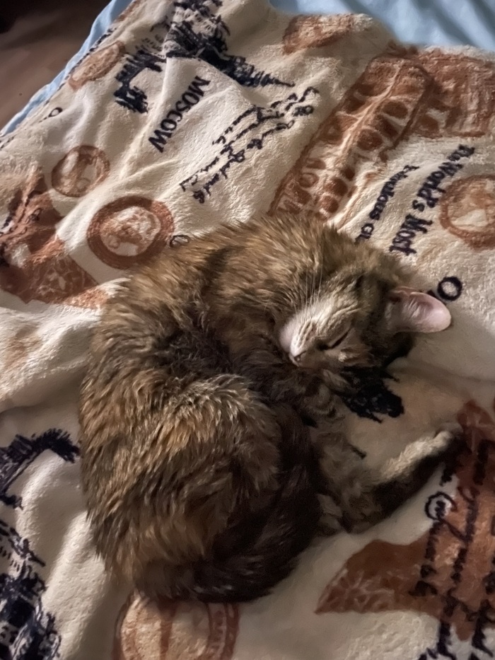 ����� �� ���� ���������� �� �� ������ ������� ���� ����. ���� � �� ��. ������� � ������ ����. �������� ���!�