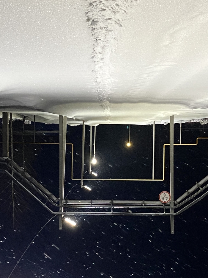 ���� ������ ������ ���