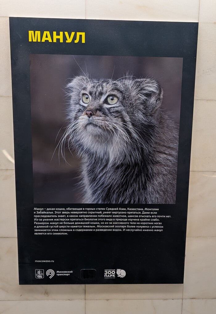 ���������������� ���. ���� ��������� � ��������� ������.