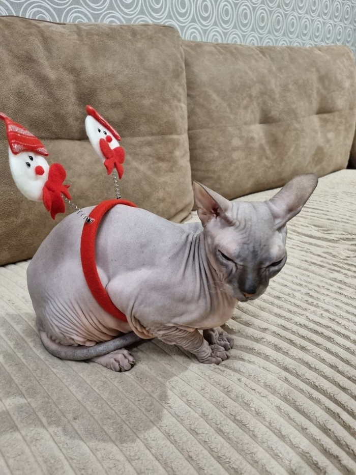 ������ ���. ������