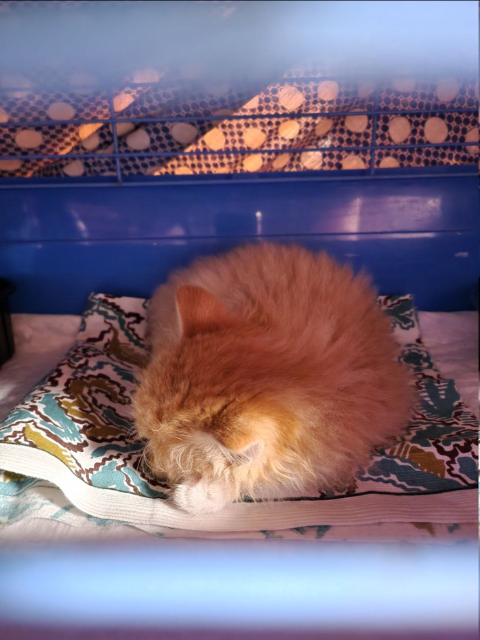 ���������������������� ���