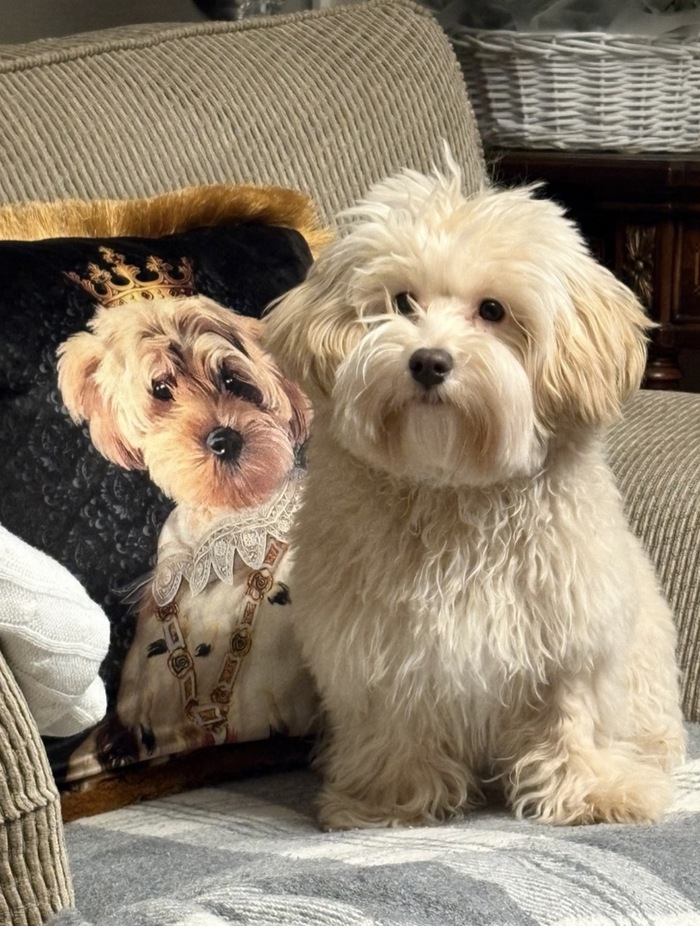 ����� �� ���� ��� ������ ���� ������ � ���� ����