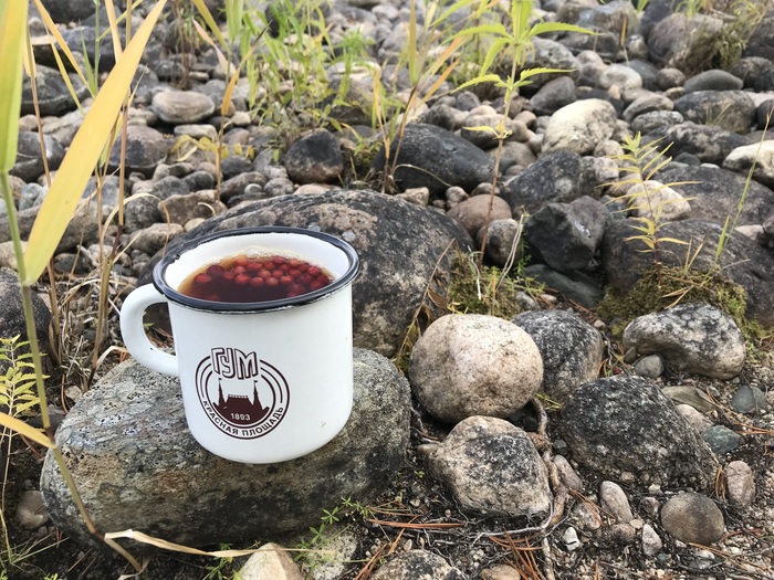 Про кружку не спрашивайте, нашел в доме, в доме и оставил)