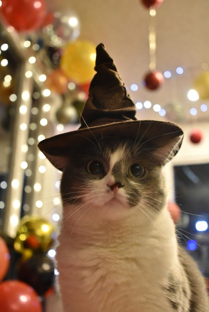 ��� ��� �������� ���� ?) �������� ���� ���� � ������������