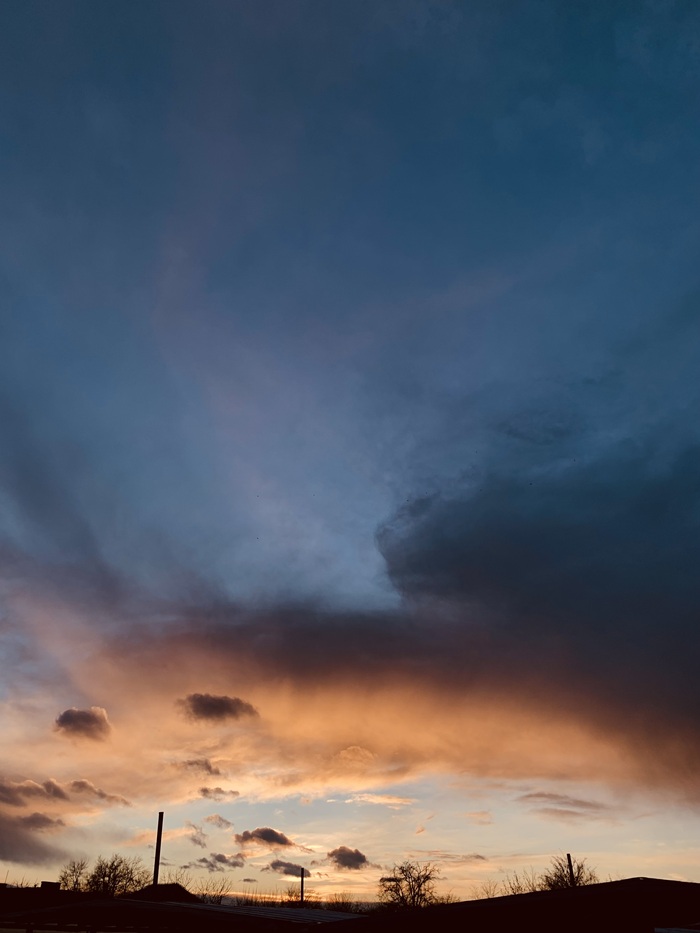 ������ �����