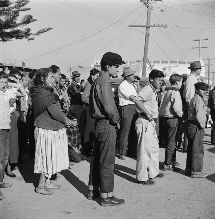 � ������ 1951 ���� � �������, �������, ����� ��������� �� ���, ��� ������� ����, ������������ ����� �������, ��������� ������� � ����������� ����� ����� ��� ������.