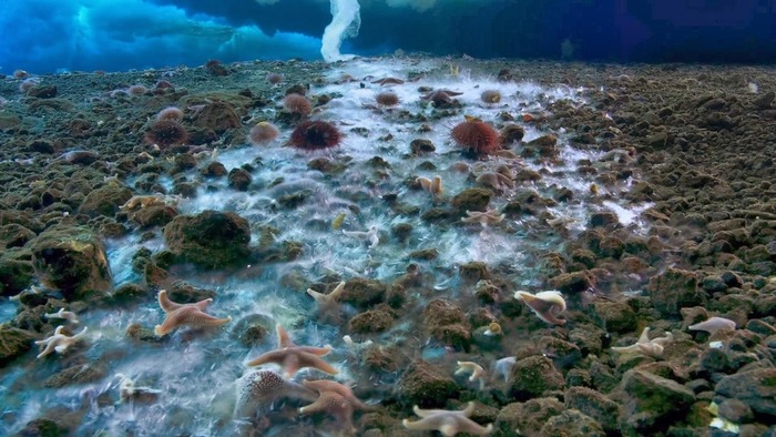 © <!--noindex--><a href="https://pikabu.ru/story/5_porazitelnyikh_fenomenov_okeana_13549024?u=http%3A%2F%2Fpinterest.com&t=pinterest.com&h=2ff2c69448f2e8e1907ad321a6afe8f2b378d982" title="http://pinterest.com" target="_blank" rel="nofollow noopener">pinterest.com</a><!--/noindex-->