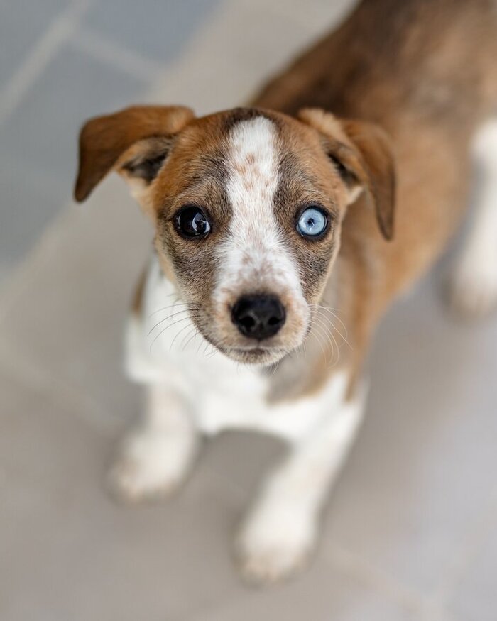 ������ � ��!  ���� ��������� ������ ���� ���