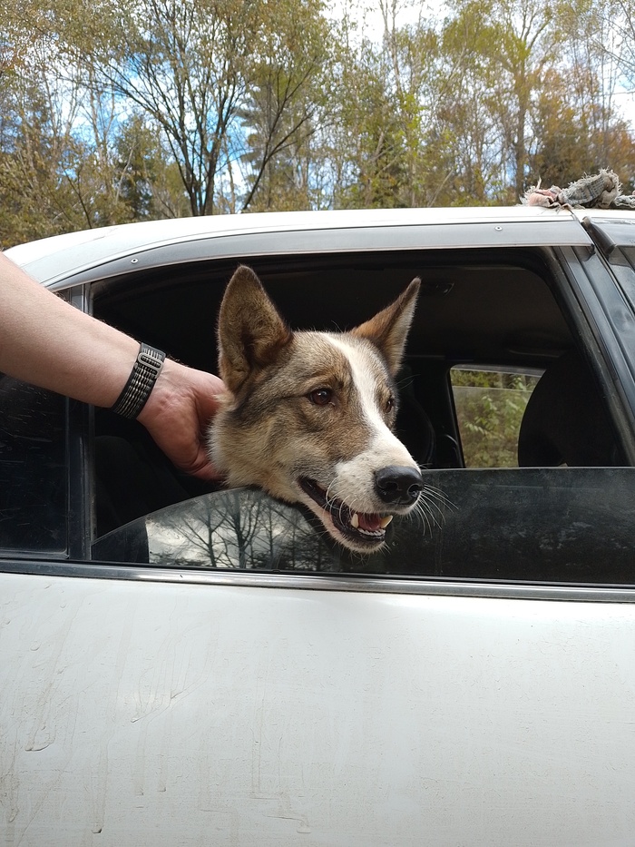 Первый день, когда подобрали