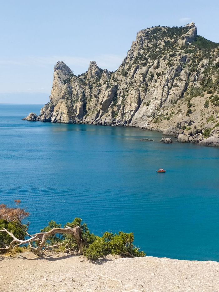 ������ ����������