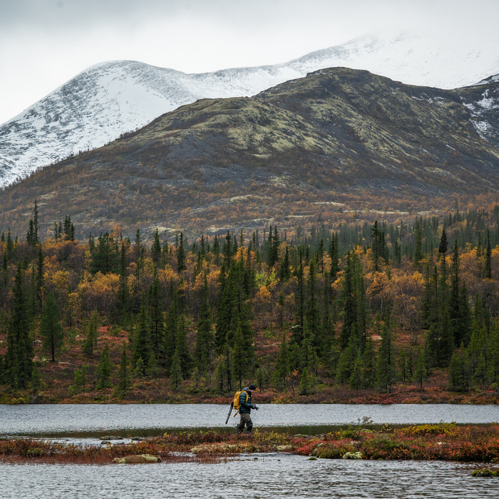 ������������� �����. ������