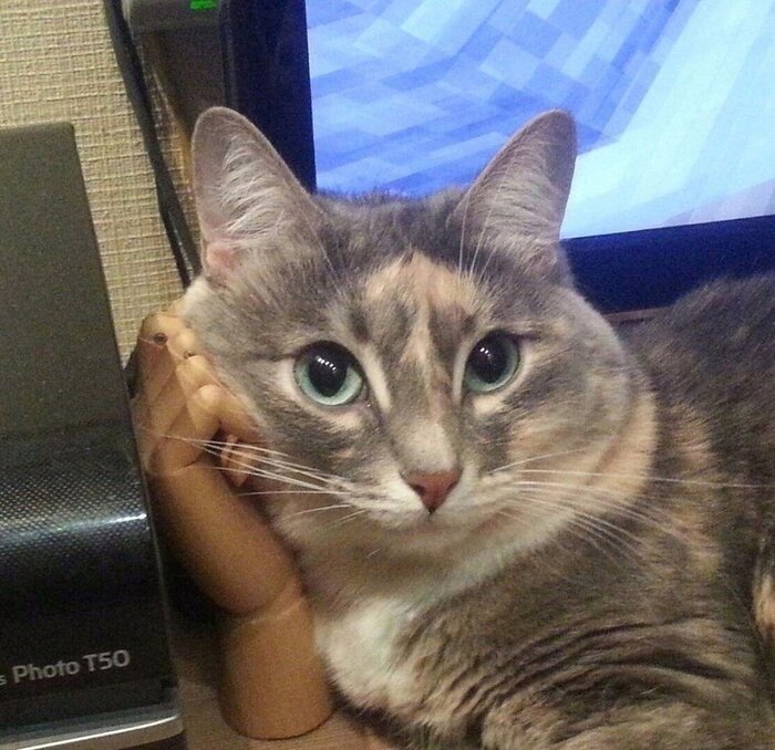 ����� ��� ������ ���� � ���� ����� ���