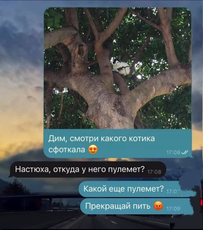 Настюха не видела пулемет