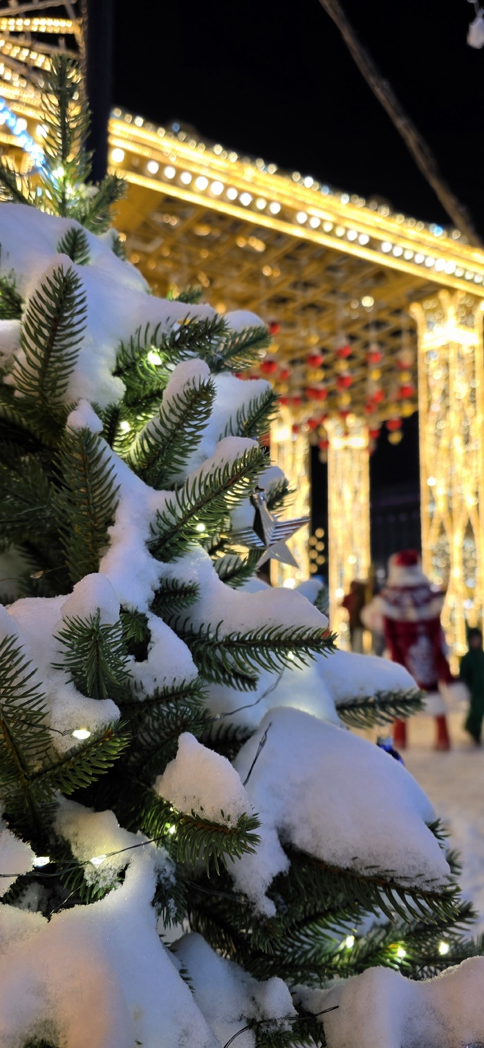 ����� ������