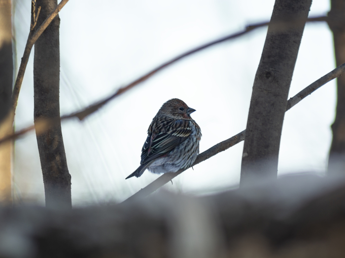 ������� ��������� ��������, ������� ���������� �� ������🐥📸