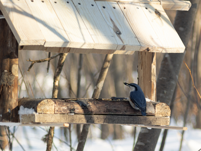 �������� �������� ����� ����������� ❤️