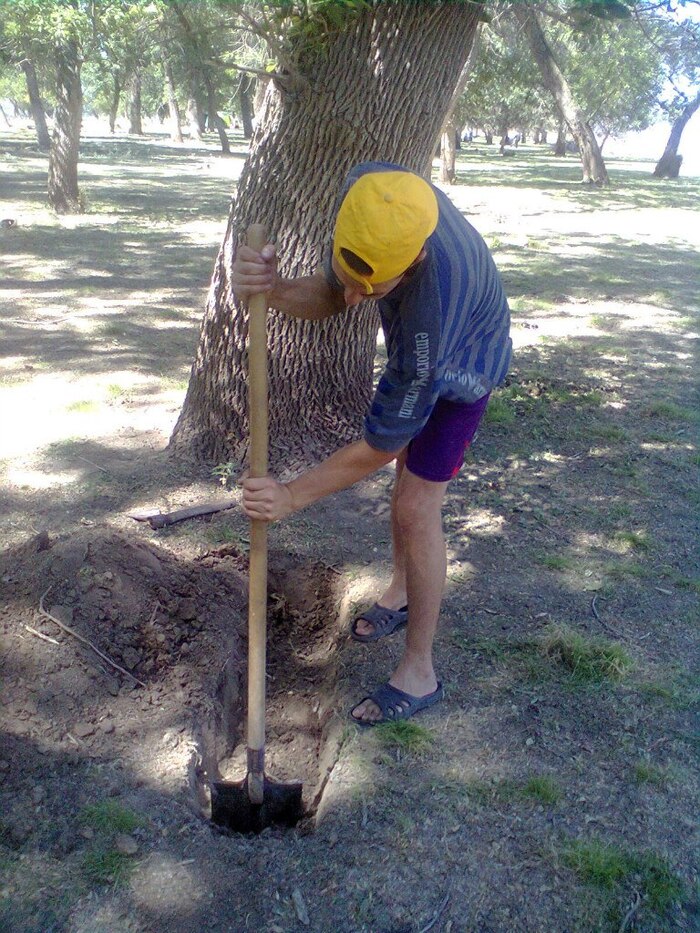 ��� ��� ��������� ��� � ����, ����� �������� ������ �������� ���. 