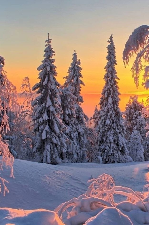 ������ �����