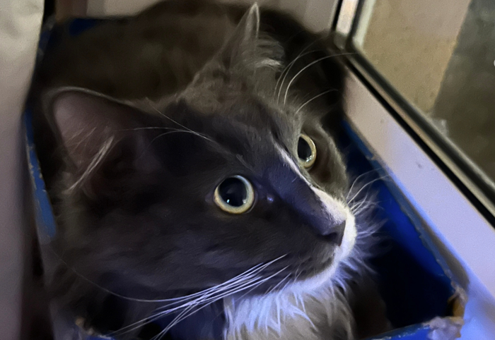 ����, ����� ��� =) �� � �����-�����, ���!