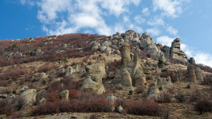 �� ����� �������� ���������� ����������