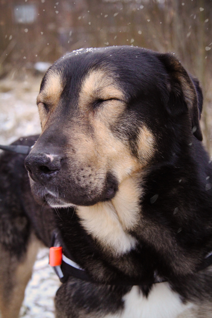 �� ��� ����� ������)