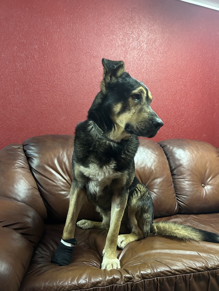 �� ������������ ������)