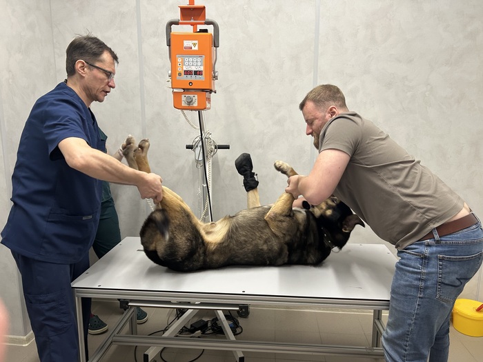 ������ �������