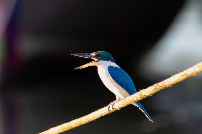 ��� ���� �� ����-�� :)