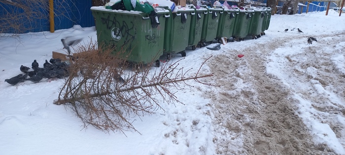 Обнаружена 31.12.2025