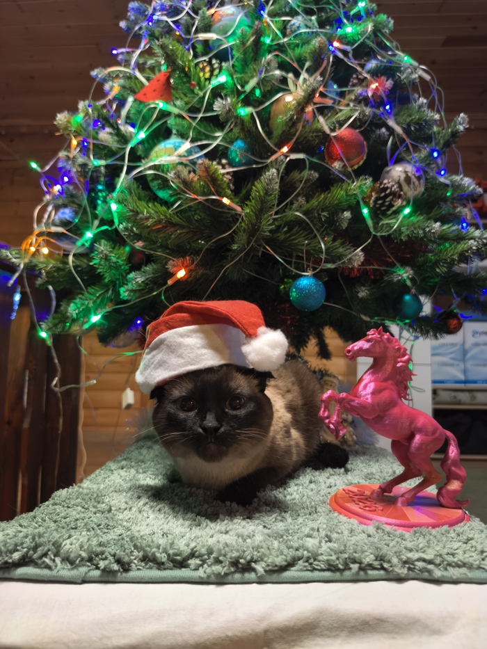 ����: � �� ����. � ��� �� ��������.