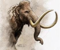 �������� �� ������ ����