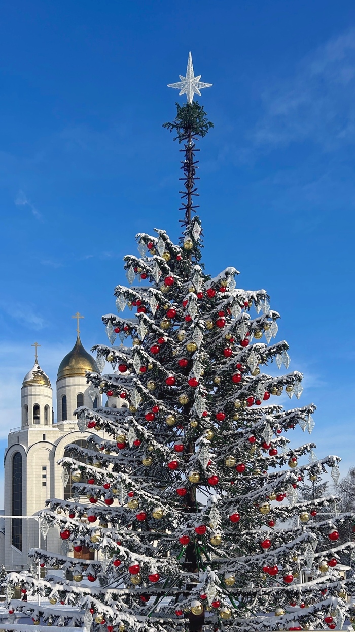 ��������� ����