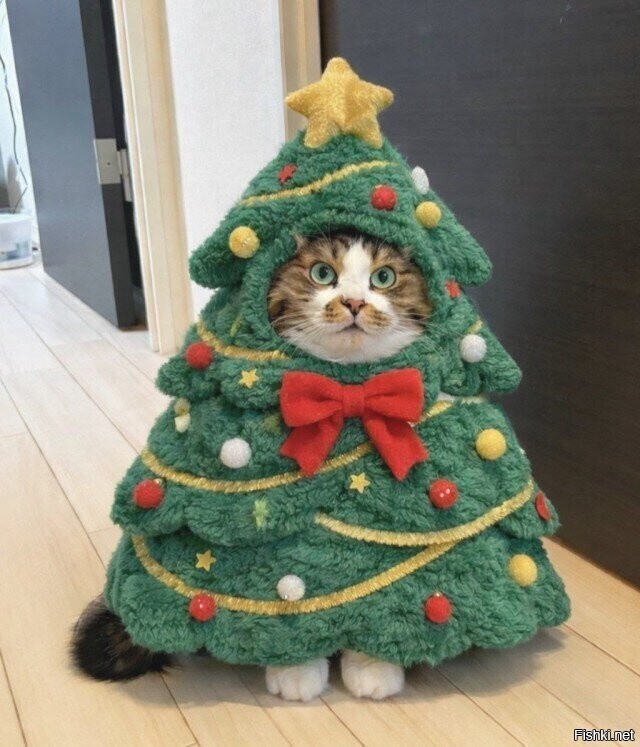 ���� � ����������!