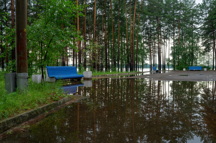 Июнь 2020. Фото по заданию